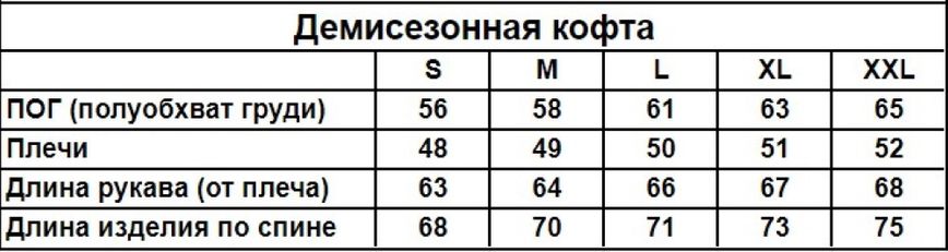 Жіночий демісезонний базовий худі чорний (двонитка) 32081 фото